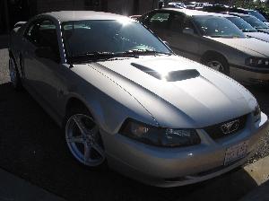 Mustang 2 002.jpg